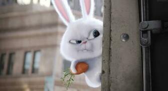 The Secret Life Of Pets Wallpaper Movies Animation