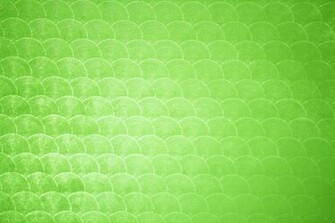 Lime Green Circle Patterned Plastic Texture Picture Photograph