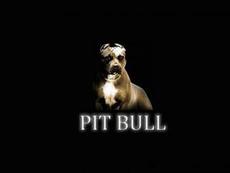 Pitbulls