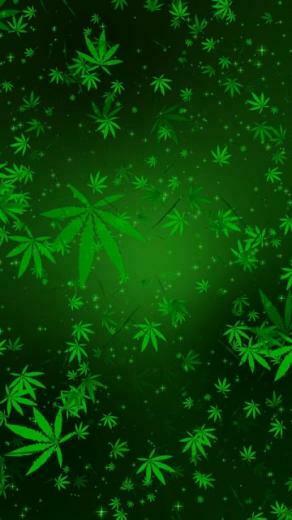 Best Apps For Weed Live Wallpaper Android Appcrawlr
