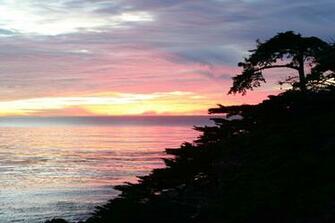 Northern California Coast Ecosia