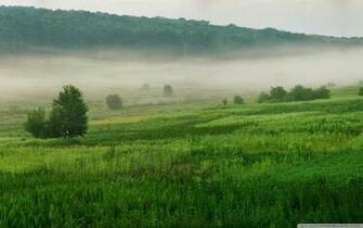 Wallpaper World Green Nature X HD