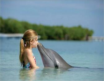 The Image Shed Literacy I Wonder Dolphins
