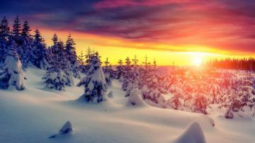 Winter Snow 4k 5k And 8k Wallpaper Sfw