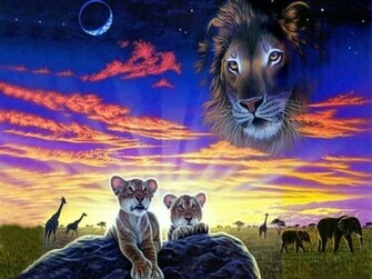 3d Lion