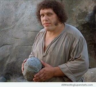 Andre The Giant Wrestler Wwe Superstars