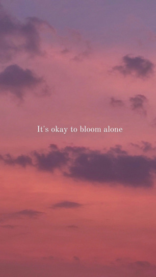 If Your Sunset Love This Aesthetic Picture With Self iPhone Lockscreen Wallpaper