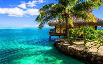 Beach Resort Wallpaper