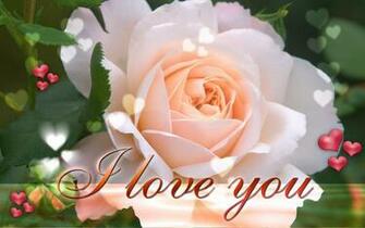 Funny Pictures Gallery Love Roses Wallpaper Rose