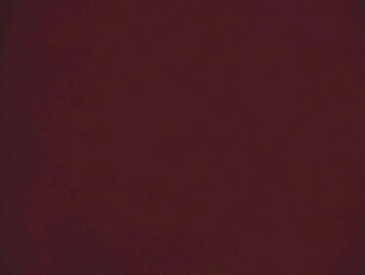 Covers By Color Maroon Futon Neutron Burgundy Cover