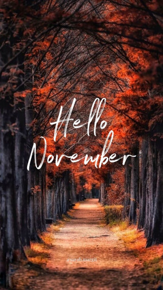 Hello November Wallpaper