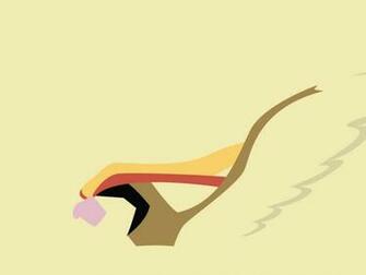 Pidgeot Q0vs