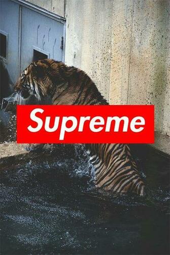 Best Supreme Wallpaper Ideas
