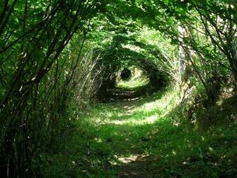 Landscapes Nature Eyes Optical Illusion Wallpaper