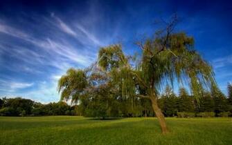 Breathtaking Nature HD Wallpaper X Super Hq