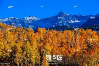 Fall Color Last Dollar Road Between Ridgway And Telluride With