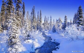 Winter Wonderland Desktop Wallpaper Grasscloth