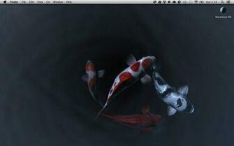 Koi Pond Live Wallpaper Sbone Android
