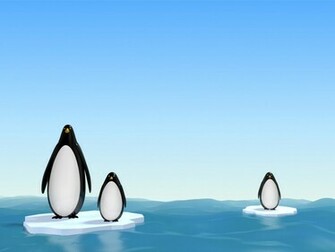 Cute Penguin Wallpaper HD Background Desktop