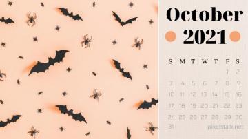 S Net Wp Content Uploads Image5 October