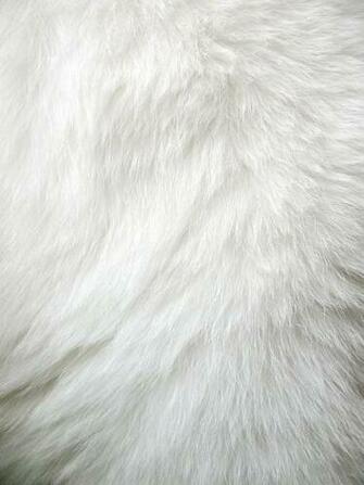 White Fur On