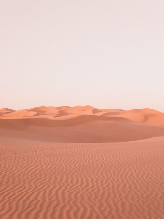 Desert Aesthetic Wallpaper