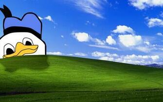 Accually Is Dolan