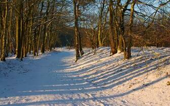 Wallpaperks Widescreen Winter Wallpaper