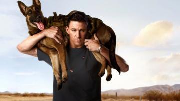 Dog After The Credits Mediastinger