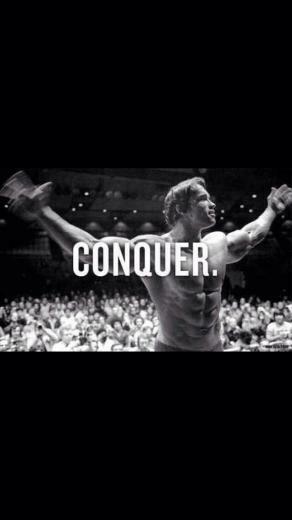 Arnold Schwarzenegger Conquer