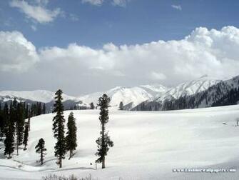 Collection Of HD Wallpaper Kashmir For Desktop Background