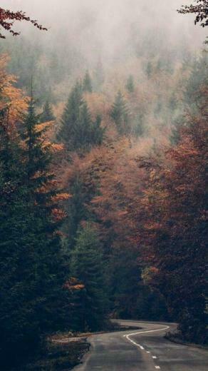 Pacific Northwest Fall Wallpaper
