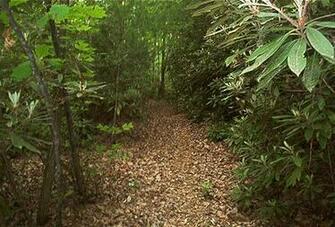 Appalachian Trail Desktop Background Screensavers
