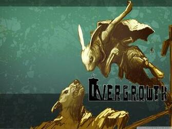 Overgrowth 4k HD Desktop Wallpaper For Tablet Smartphone