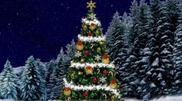 HD Wallpaper 4u 3d Christmas Tree For Desktop