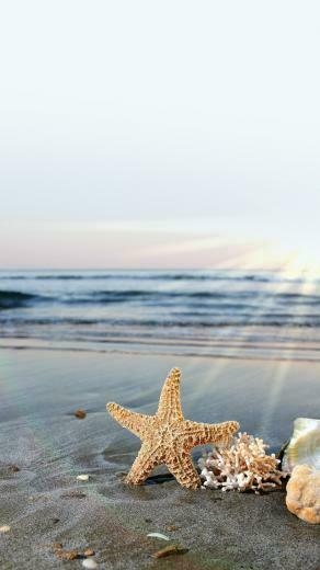iPhone Sea Beach Wallpaper Area HD