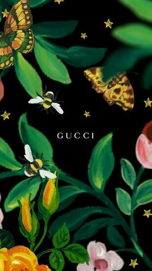 Fashionista iPhone Wallpaper HDwallpaper20