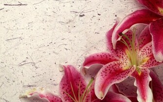 Decor Lily Wallpaper HD