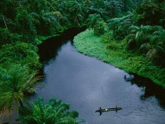 Habitats Tropical Rain Forest Pictures Wallpaper