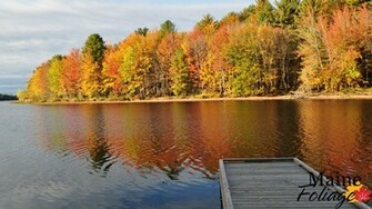 Maine Fall Foliage Wallpaper