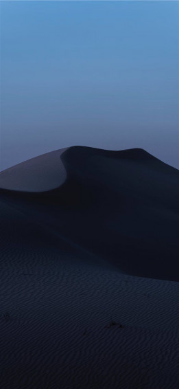 Desert Dusk iPhone X Wallpaper