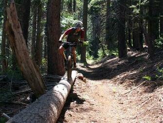 Forest City Mountain Biking
