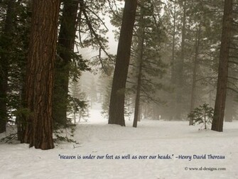 Nature Quotes Quotations On Wallpaper