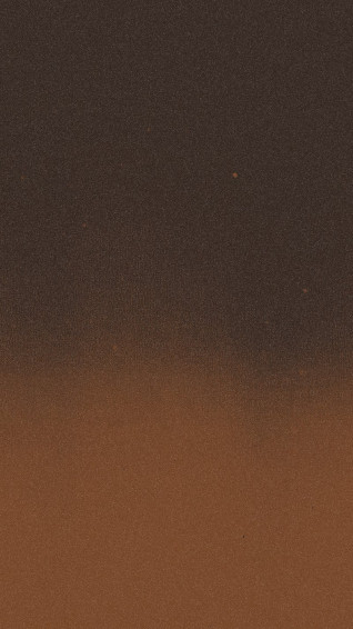 Brown iPhone Wallpaper Image