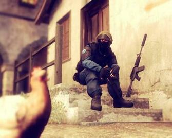 Csgo Wallpaper Making With Chicken For