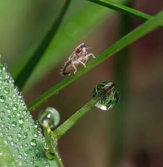 Cute Background And Wallpaper Macro Photography Set