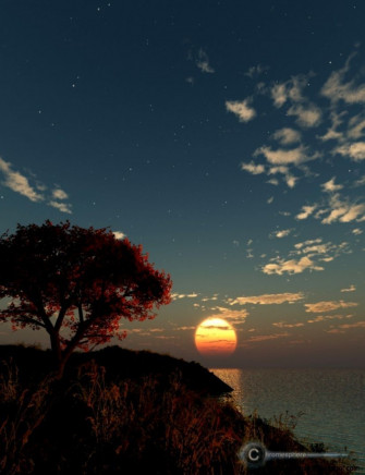 Vertical Split Screen Wallpaper On