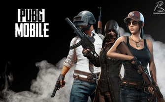 Funny Pubg 4k Wallpaper Top Background