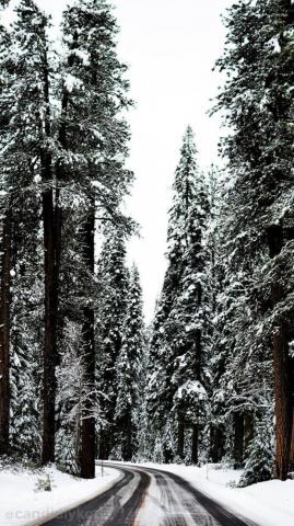 Winter Aesthetic Wallpaper On