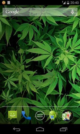 Marijuana Live Wallpaper HD Android Apps On Google Play